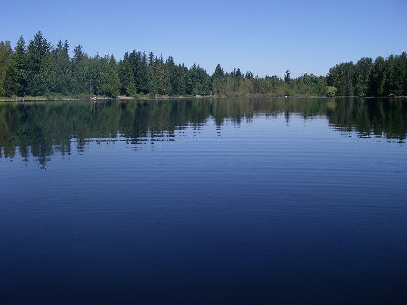 Panther Lake